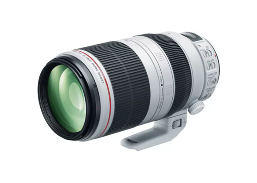 Canon L Series Zoom  Lenses